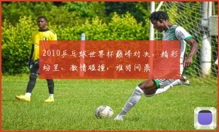 2010乒乓球世界杯巅峰对决，精彩纷呈，激情碰撞，谁将问鼎