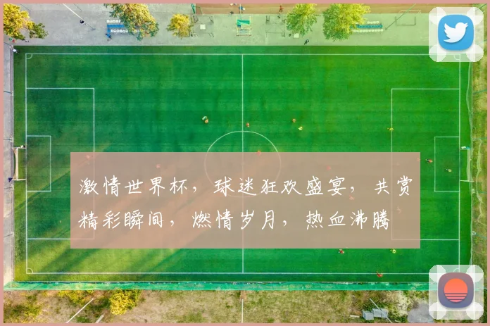 激情世界杯，球迷狂欢盛宴，共赏精彩瞬间，燃情岁月，热血沸腾